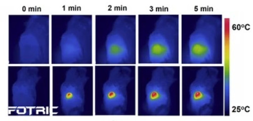 Ricerca sulla terapia fototermica